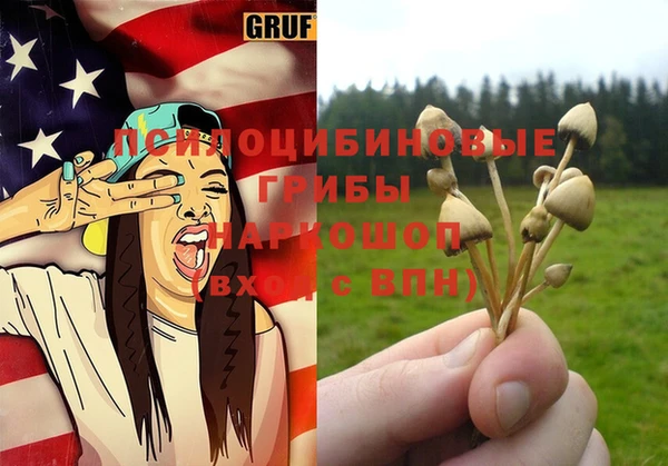 гидропоника Лабытнанги